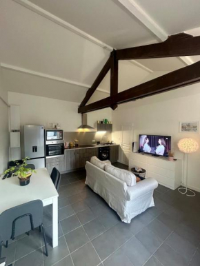 Appartement Entier Bord de Saône - Parking Privé